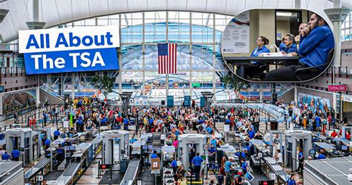 How Does Tsa Work?