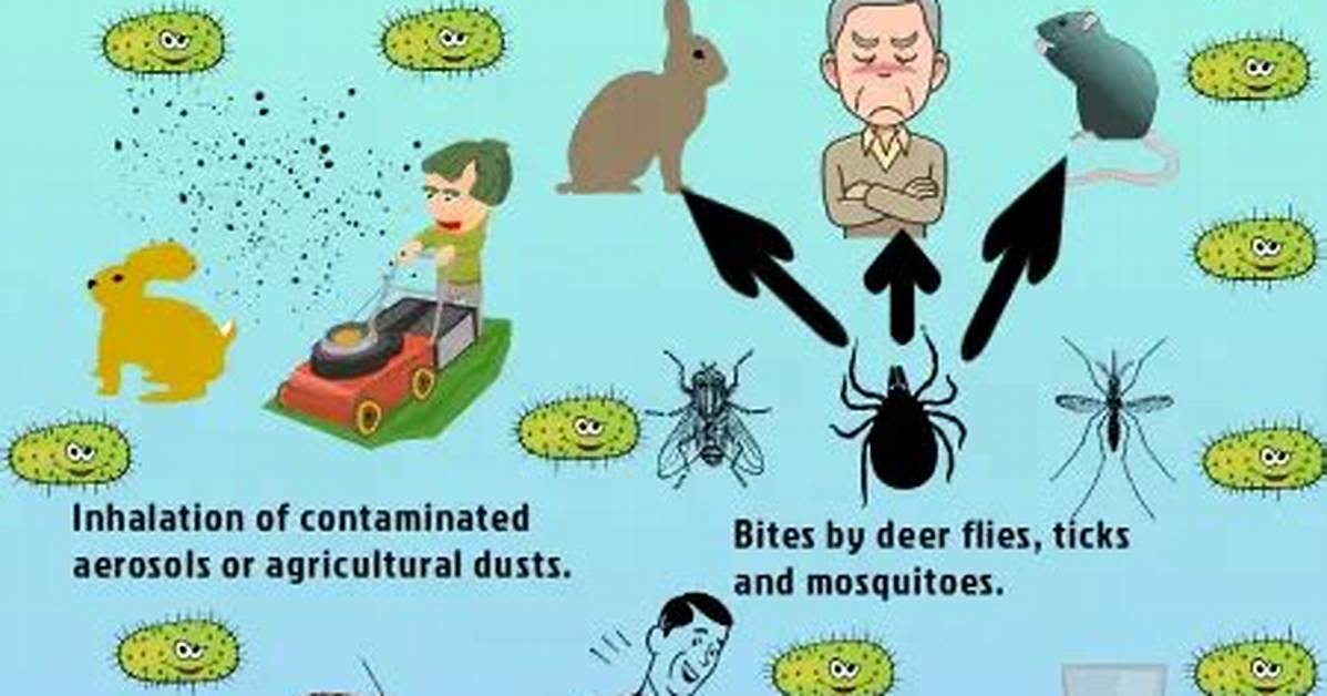 How Does Tularemia Spread?