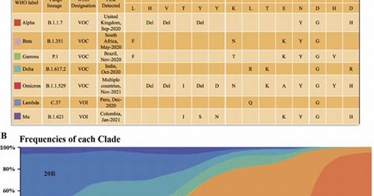 How Does Variation Within a Clade?