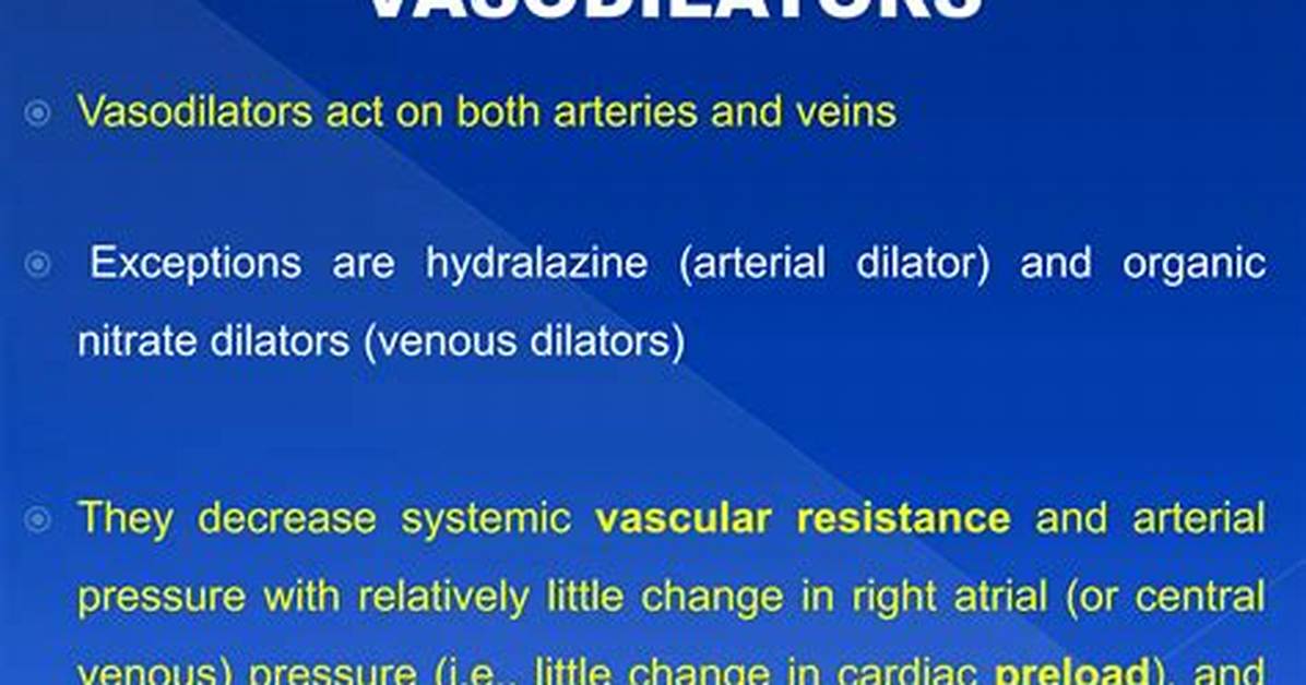 How Does Vasodilators Work?
