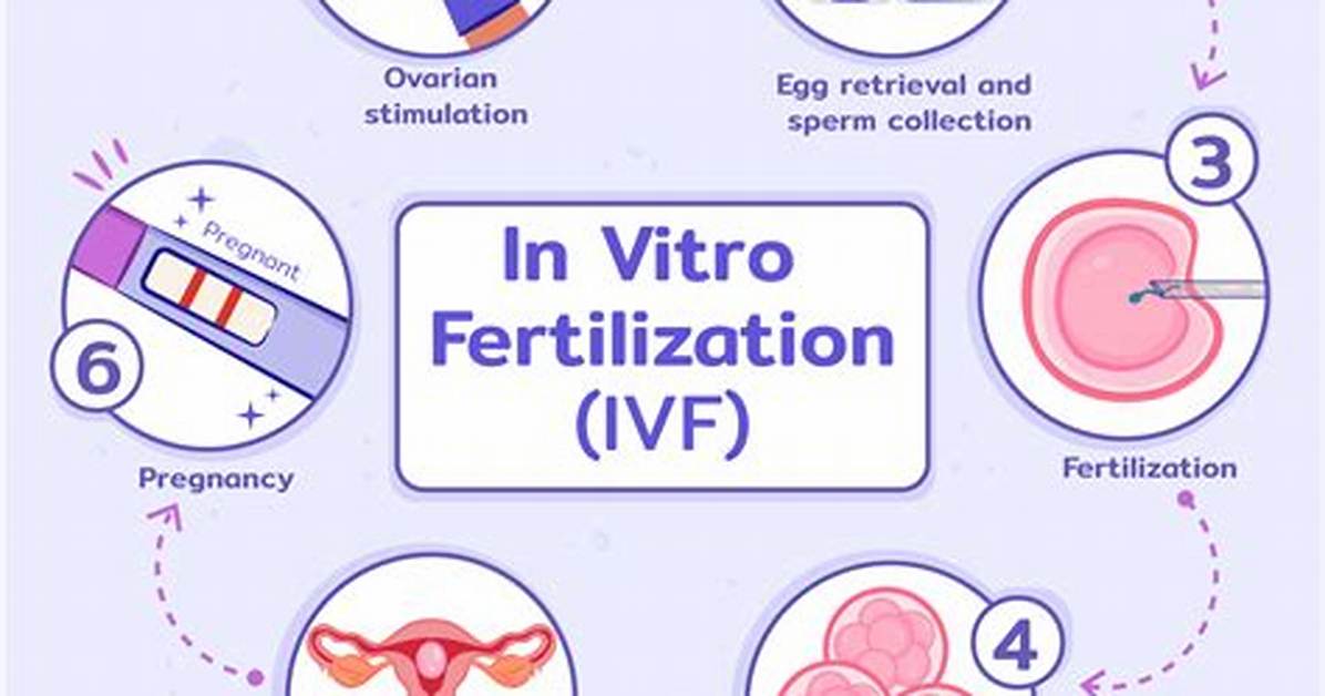 How Does Vitro Testing Work?