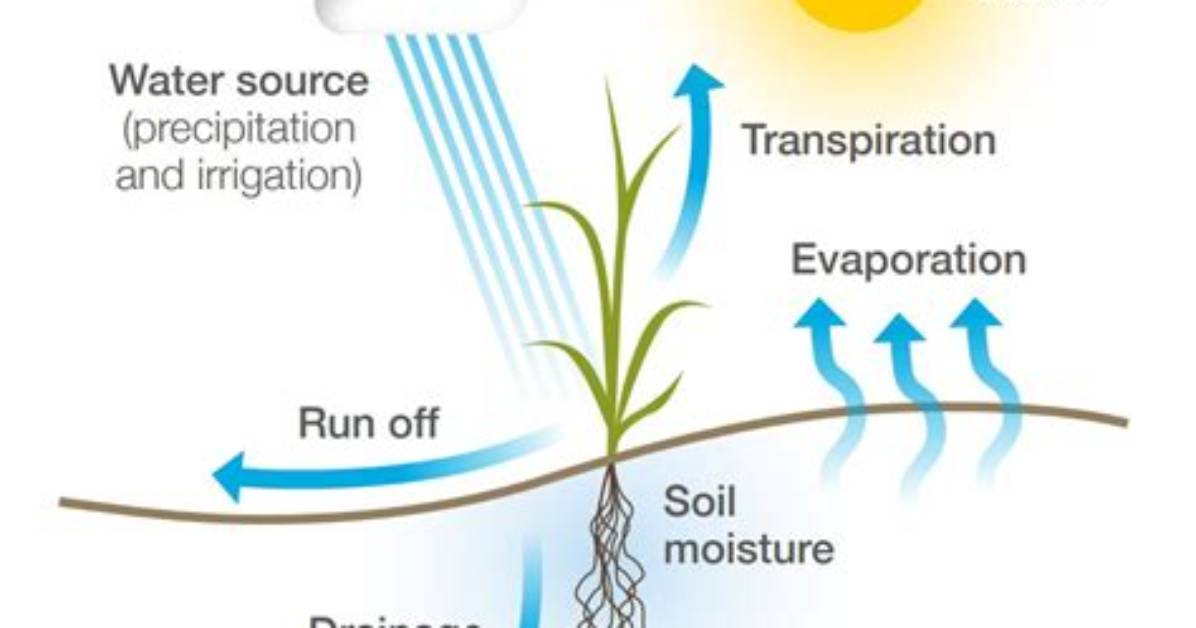How Does Water Affect Soil?