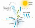 How Does Water Affect Soil?