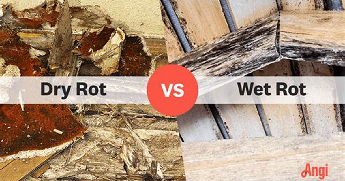 How Does Water Rot?