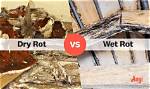 How Does Water Rot?