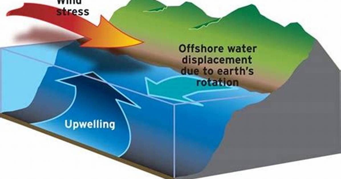How Does Wind Cause Upwelling?