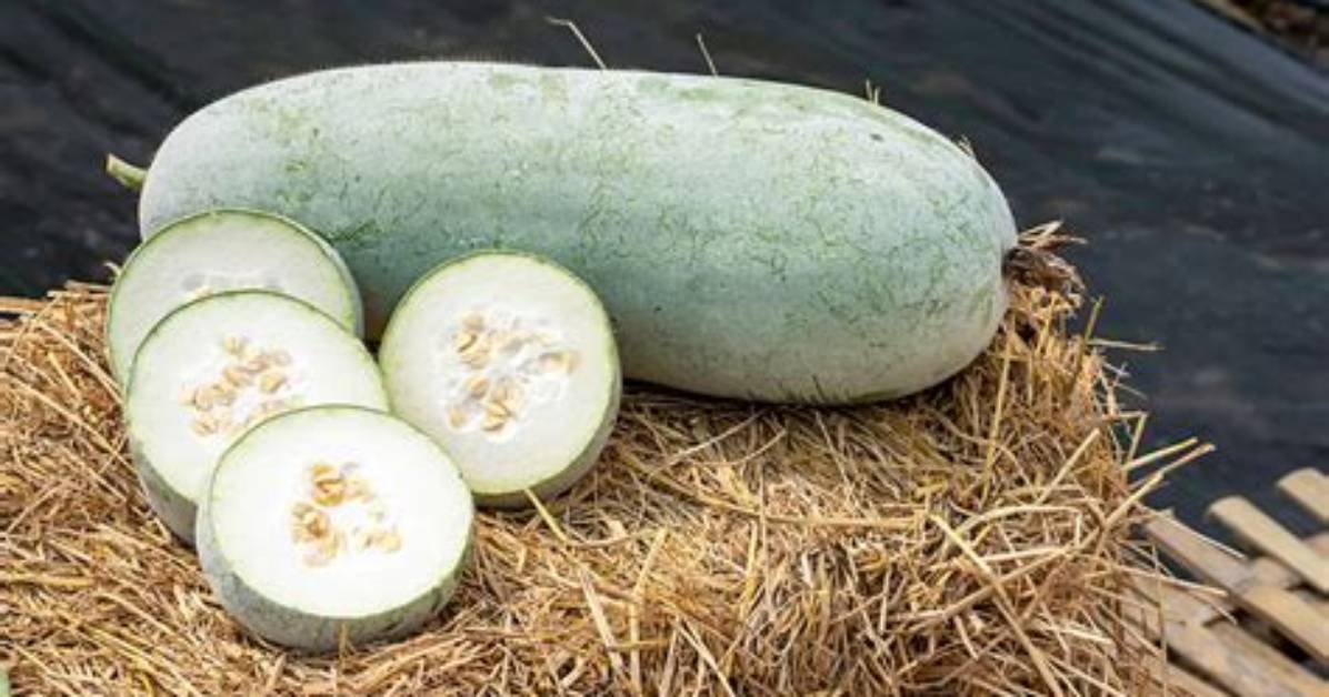 How Does Winter Melon Taste