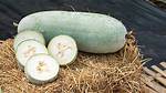 How Does Winter Melon Taste