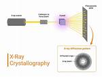 How Does X Ray Crystallography Work?