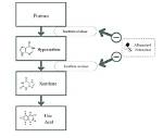 How Does Xanthine Work?