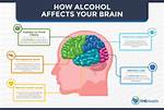 How Drinking Affects the Brain?