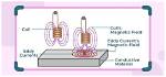 How Eddy Current Minimised?