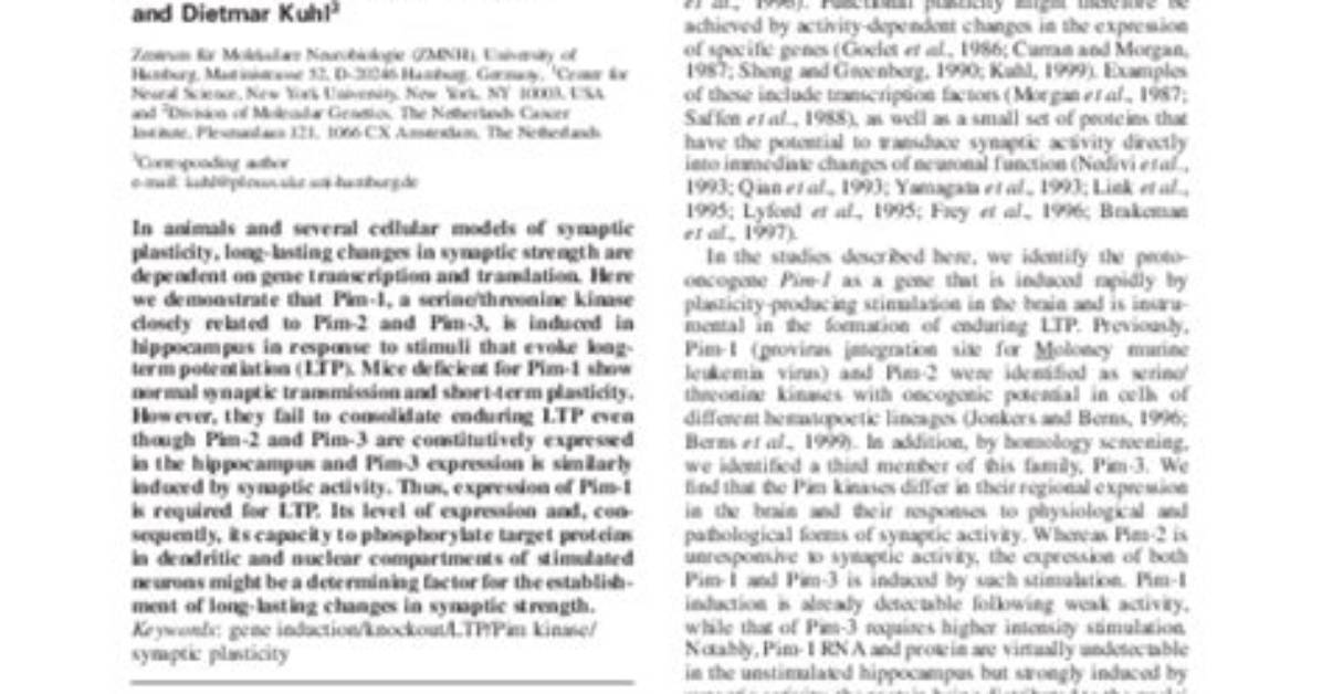 How Enduring Is Ltp?