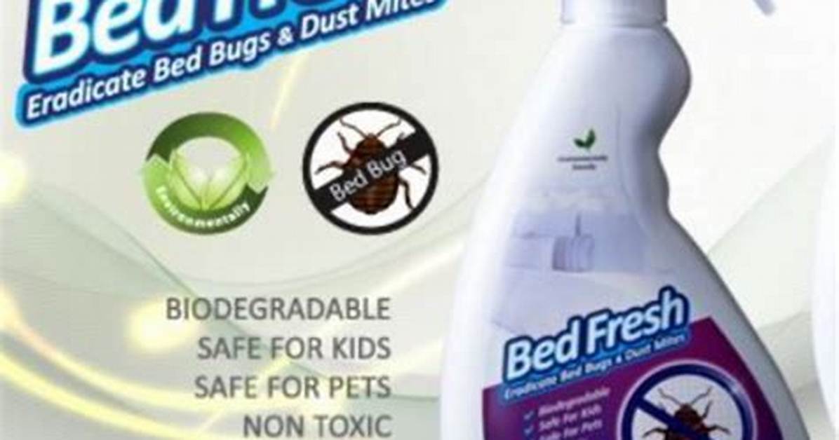 How Eradicate Bed Bugs?