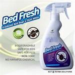 How Eradicate Bed Bugs?