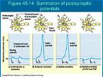 How Excitatory Postsynaptic Potentials?