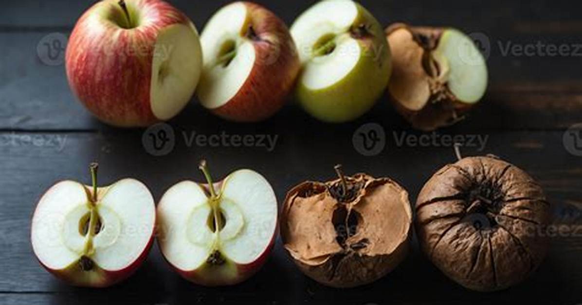 How Fast Do Apples Decompose