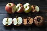 How Fast Do Apples Decompose