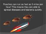How Fast Do Roaches Spread