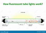 How Fluorescent Lights Work?