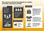 How Forest Fire Occurs?