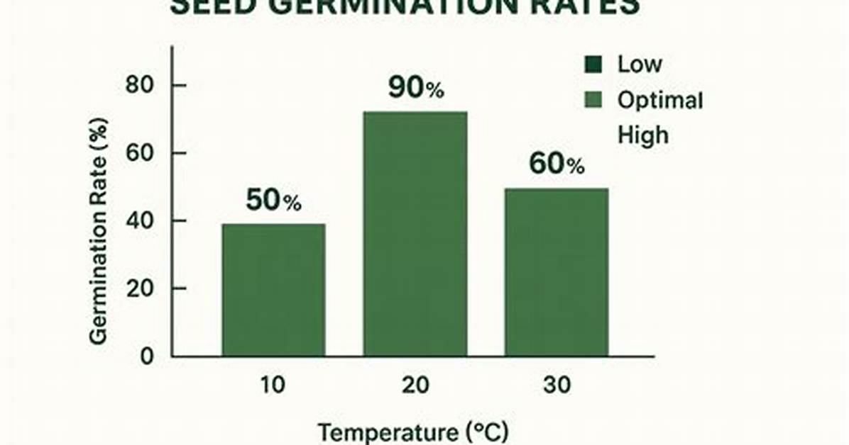 How Germination Affects Temperature?