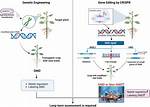 How Gmos Are Created? | Contextresponse. Com