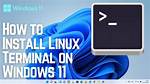 How Install C 11 in Linux?