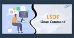 How Install Lsof in Linux?