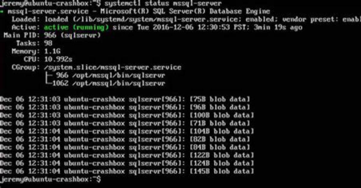 How Install Microsoft Sql Server in Linux?