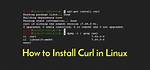 How Install Php Curl in Kali Linux?