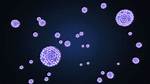 How Is a Divalent Cation?