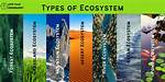 How Is an Ecosystem Different from a Community