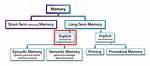 How Is an Explicit Memory Different from an Implicit Memory