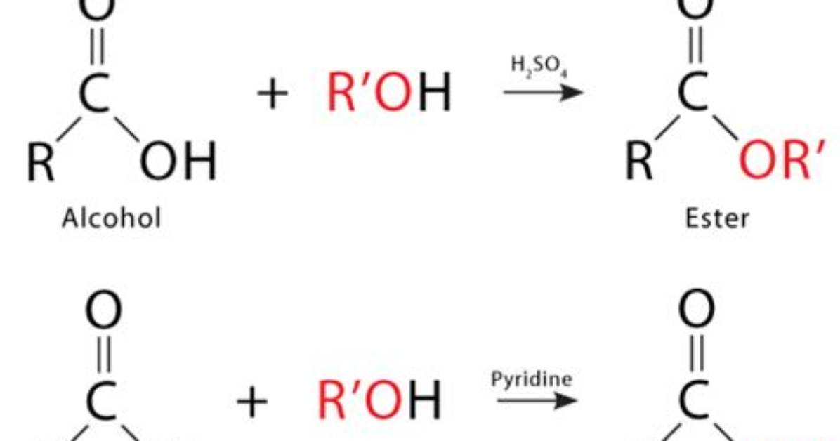 How Is Esterification Produced?