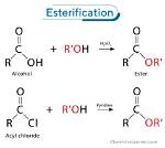 How Is Esterification Produced?