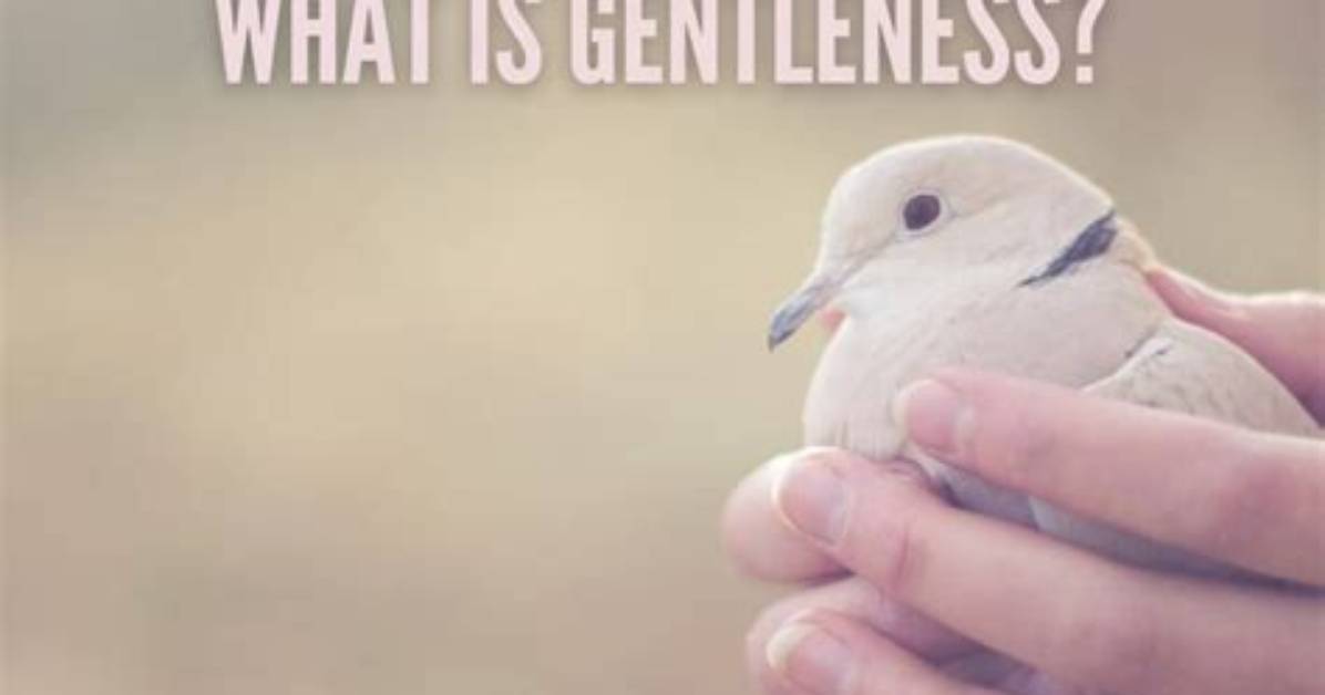 How Is Gentleness Defined?