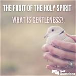 How Is Gentleness Defined?
