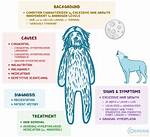 How Is Hypertrichosis Causes?