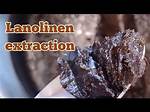How Is Lanolin Extracted?