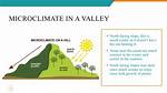 How Is Microclimate Different from Microclimate?