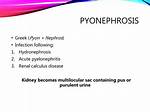 How Is Pyonephrosis Treated?