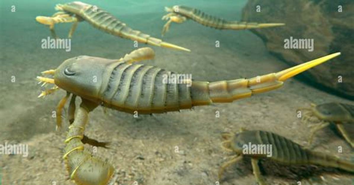 How Long Did Eurypterids Live?