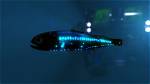 How Long Do Lanternfish Live?