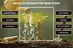 How Long Do Silver Maples Live?