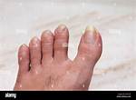How Long Do Toe Nails Take
