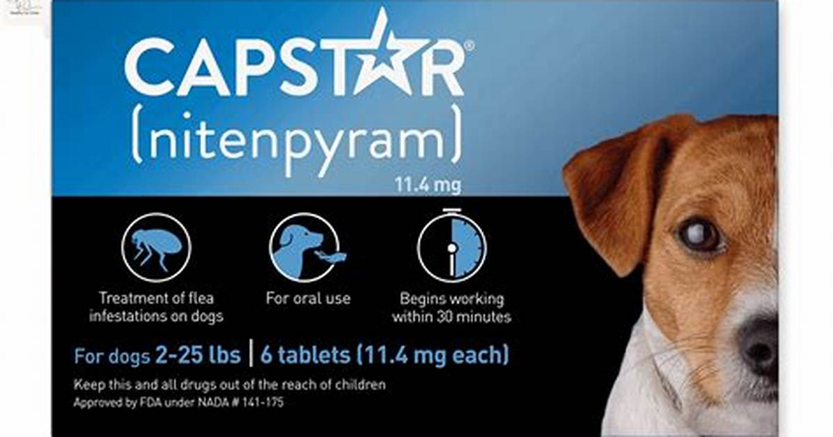 How Long Does Capstar Last
