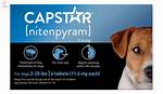 How Long Does Capstar Last