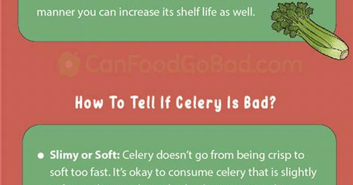 How Long Does Celery Last