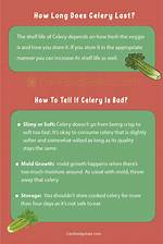 How Long Does Celery Last